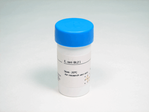 E. COLI BL21