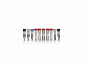 FIRST-STRAND CDNA SYNTHESIS KIT