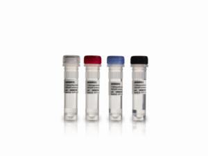 DUTP, 100 MMOLAR SOLN, 100UMOL
