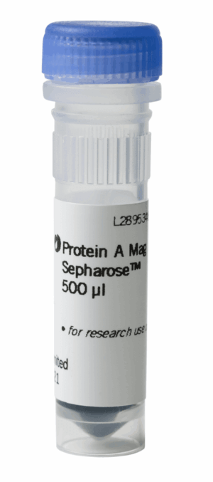 Protein A Mag Sepharose 1x500ul