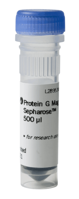 Protein G Mag Sepharose 1 x 500ul