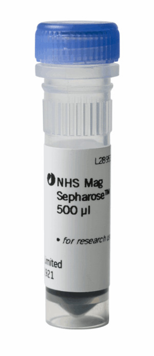 NHS Mag Sepharose 1x500ul