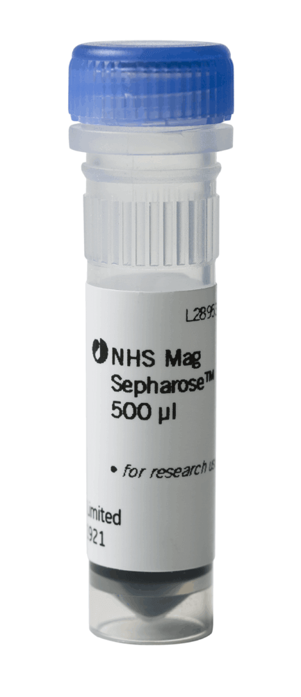 NHS Mag Sepharose 1x500ul