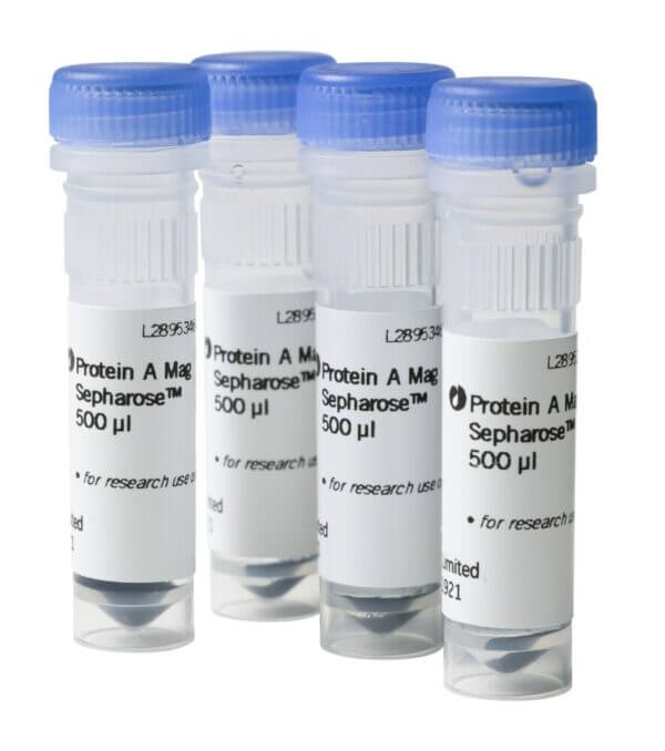 Protein A Mag Sepharose 4x500ul