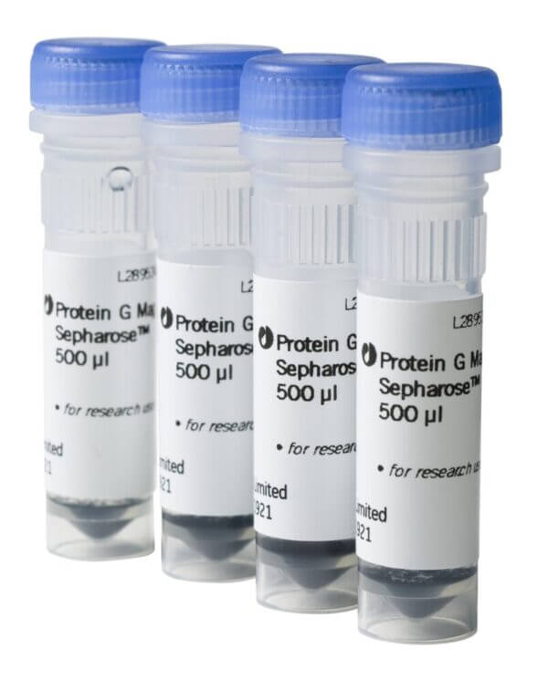 Protein G Mag Sepharose 4x500ul