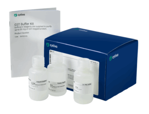 GST Buffer Kit