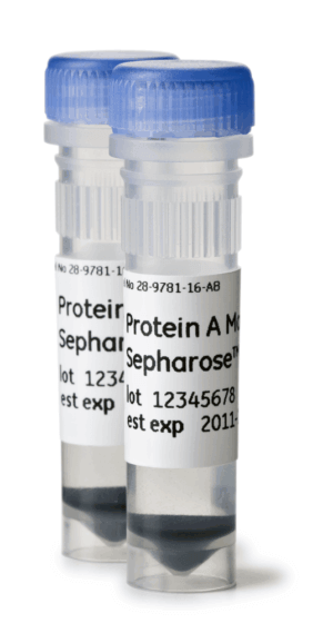 PROTEIN A MAG SEPHAROSE XTRA 2X1ML