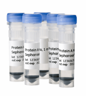 PROTEIN A MAG SEPHAROSE XTRA 5X1ML