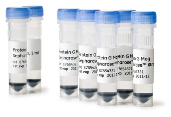 PROTEIN G MAG SEPHAROSE XTRA 2X1ML