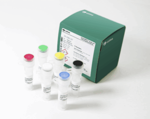 Single Cell GenomiPhi 100rxn kit