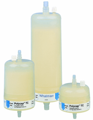 Whatman POLYC36 0.2/0.1 PES 1/PK A/A S
