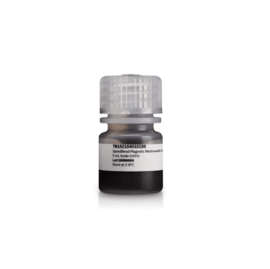 SpeedBead Magnetic Neutravavidin Coated particles, 1 um, 1% solids, 1 mL, 0.05% Na azide