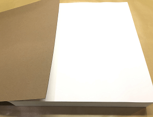 597 Plus 58x58cm 500/PK