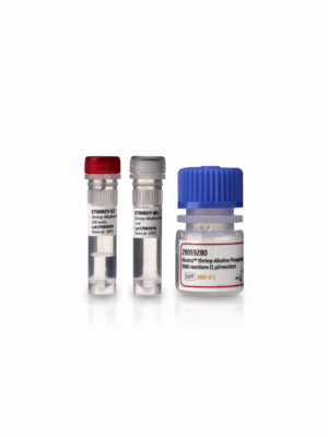 SHRIMP ALKALINE PHOSPHATASE,5000U