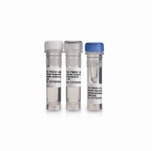 THERMO SEQUENASE DNA 10000UN POLYMERASE, 10000U