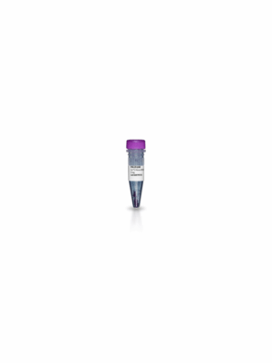 CY3 MONO NHS ESTER  1MG