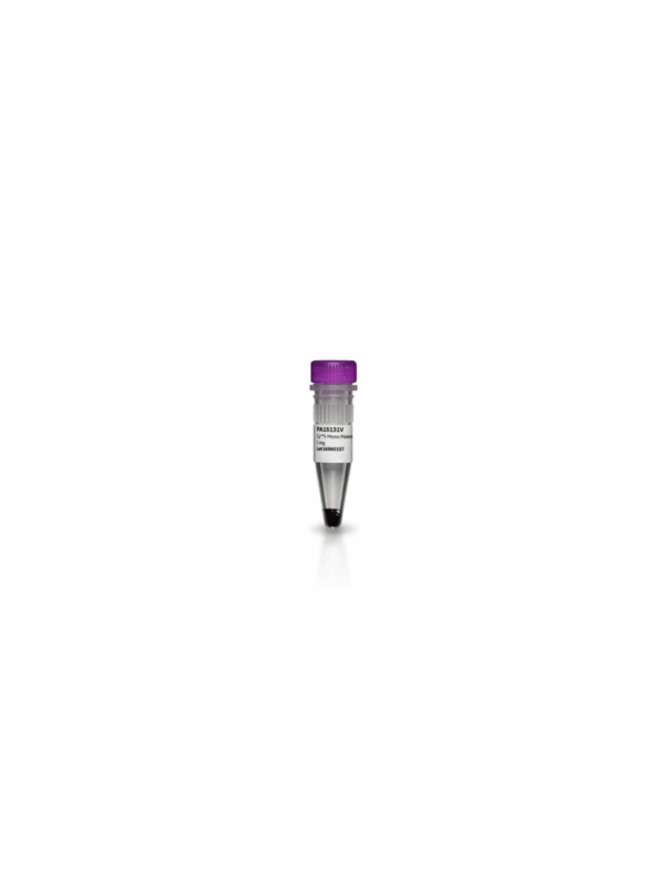 CY3 MAL MONO REAC.DYE,1MG