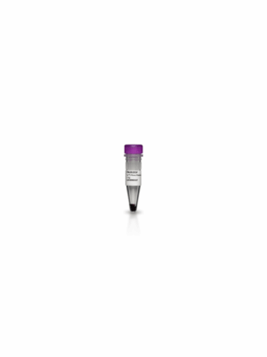 CY 5 MALEIMIDE  25MG