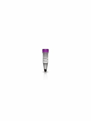 CYPHER 5E NHS ESTER 5MG