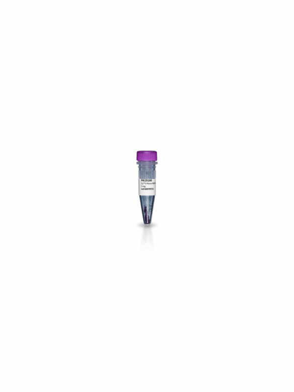 CY5.5 MONO NHS ESTER(50MG)