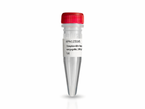 STREPTAVADIN-HRP CONJUGATE