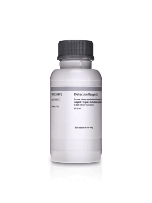 ECL WESTERN BLOTTING ANALYSIS SYSTEM