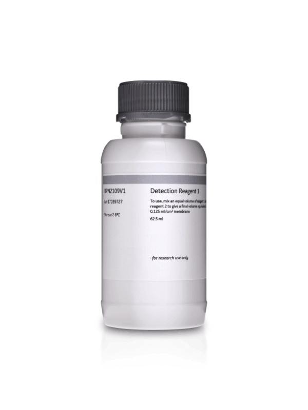 ECL WESTERN BLOTTING ANALYSIS SYSTEM