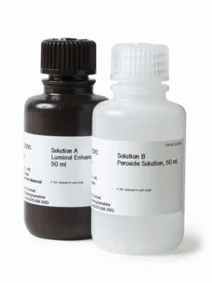 ECL Prime Western blotting detection reagent