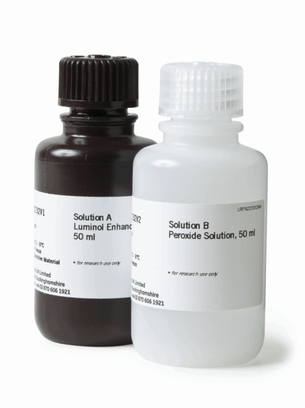 ECL Prime Western blotting detection reagent