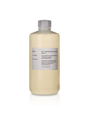 ECL DIRECT NUCLEIC ACID