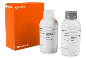 ECL Start Western Blotting Detection Reagent - 100ml