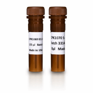 ECL DUALVUE WESTERN MARKERS