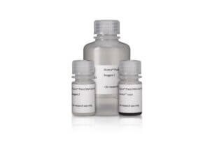 NUCLEON PHYTOPURE