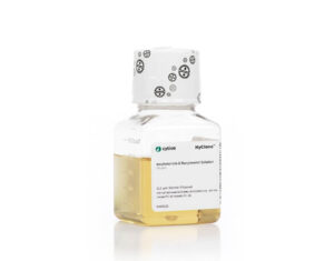 AmphotericB Fungizone Sol, 50mL