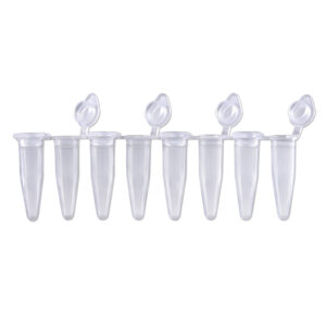 PCR Sealing Film, Transparent, Adhesive, Sterile, 10 bags of 10 seals, 100/pk