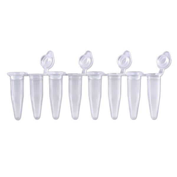 PCR Sealing Film, Transparent, Adhesive, Sterile, 10 bags of 10 seals, 100/pk