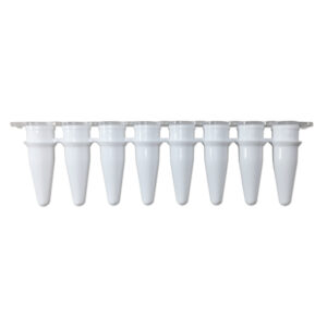 0.2mL PCR tubes, individual, with domed caps, 1000/pk
