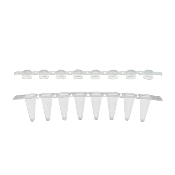 PCR Plates, Standard 96 well x 0.2mL, non-skirted, 50/pk