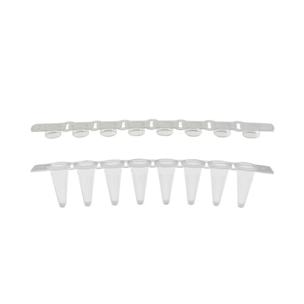 PCR Plates, Standard 96 well x 0.2mL, non-skirted, with breakaway strips of 8, 50/pk