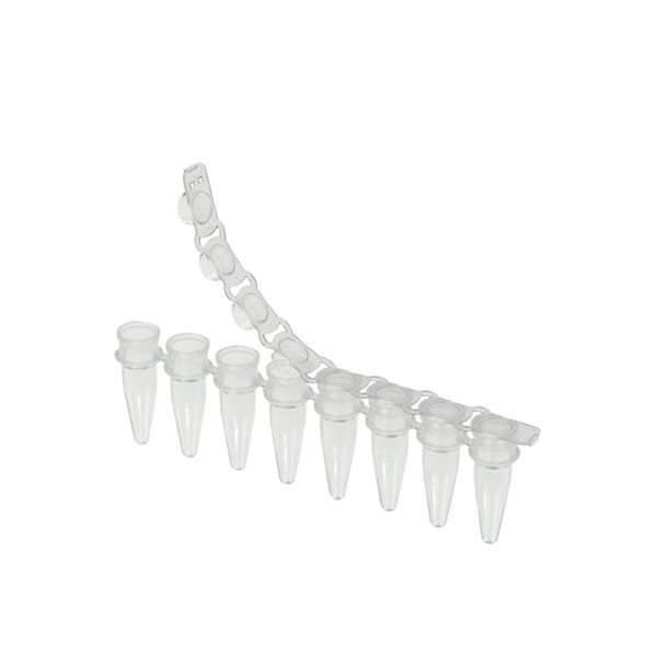 PCR Tube, 0.2mL, Attached Domed Cap, Natural, 1000 Tubes/Pack, 10 Packs/Case