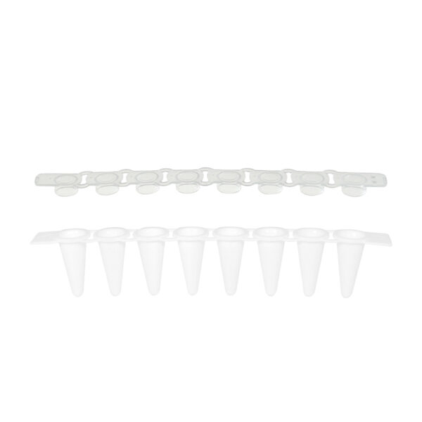 PCR Plate, 384-Well, 40µL, 2-Notch, Full Skirt, Natural, 10 Plates/Pack, 5 Packs/Case