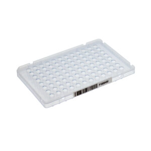 PCR Plate, 384-Well, 40µL, 2-Notch, Full Skirt, White, 10 Plates/Pack, 5 Packs/Case, 10 Cases / Bulk Case