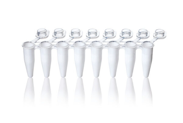 PCR Rigid 8-tube strips w/ind att flat caps, clr, .2ml,q120