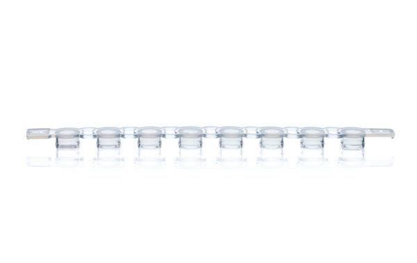 PCR 8-strip domed caps for full skirt PCR plates, clear, bag of 300