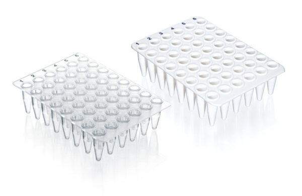 48 well qPCR plate, PP no skirt, 20 plates