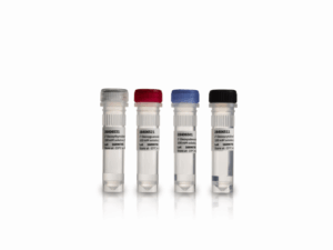 DGTP, 100 MMOLAR SOLN, 100UMOL