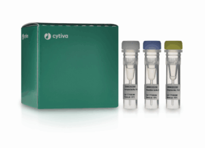 TempliPhi Seq Resolver Kit,20 rxns