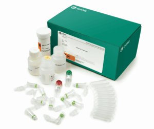 illustra bacteria Mini (250)