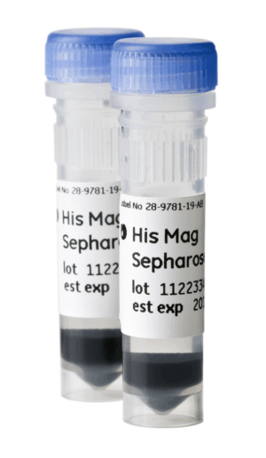 HIS MAG SEPHAROSE NI 2X1 ML
