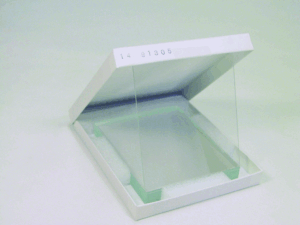 RECTGLR.GLASS PLTS 10X8CM (PKG/10)